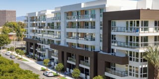 Elements Elements Gallery 1