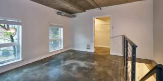 Alcyone Gallery 49