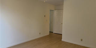 19248 Palm Gallery 2