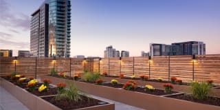 The Taft The Taft Gallery 84