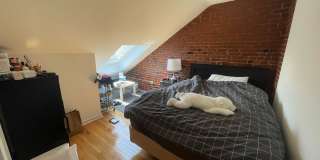 Whitney Court Gallery 31