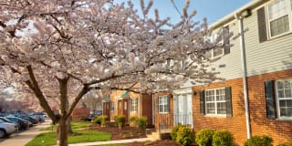 Kingsley Commons Gallery 2