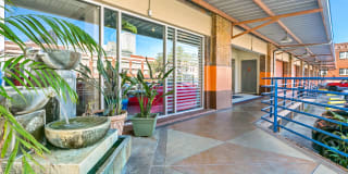 The Woodward Gallery 39