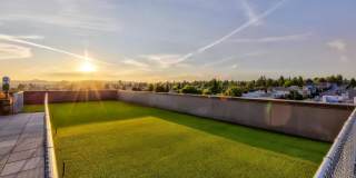 Ballard Public Gallery 20