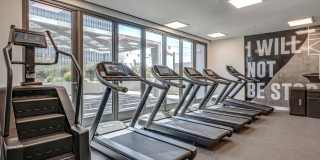 Aven Aven Gallery 18