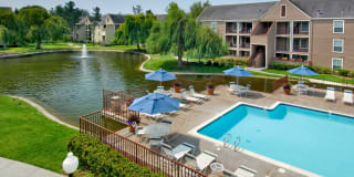 Riva Terra Apartments at Redwood Shores Gallery 64