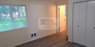 Newly Updated 3 Beds, 2 Bath Home on Quiet Street Gallery 23