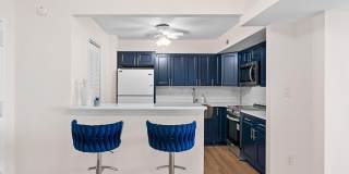 220 Linden Street unit: Apt 503 Gallery 12