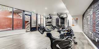 Silverbrook Gallery 12