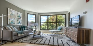 40 Malvern Street Apartments Gallery 2