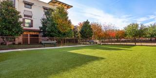 Amara Las Colinas Gallery 10