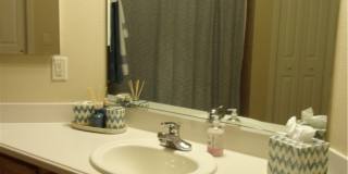 877 W Silver Meadow Loop Gallery 30