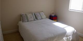 315 E Dusty Court Gallery 20