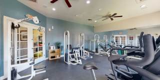 Paradise Falls Gallery 18