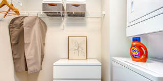 Hazel Apartments Gallery 16