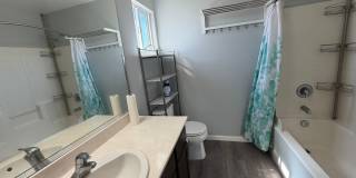 AVAILABLE NOW! LEASE TODAY! 4 Bedroom 3 Bath Elk Grove Home with Bonus Room! Gallery 32