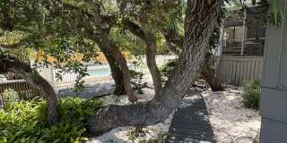 753 Tropical Circle Gallery 4