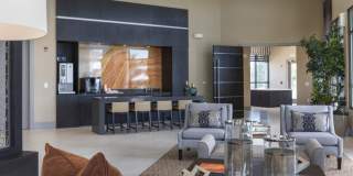 The Mayfair Gallery 15