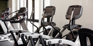 North Hollow Gallery 19