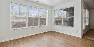 ReNew Woodland North and South Gallery 20