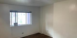 4 Bed, 2 Bath Home in Bloomfield - Convenient Location, Off-Street Parking - Available November 10th! Gallery 10