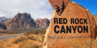 11227 CACTUS TOWER Avenue Gallery 25