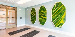 Carraway Village Gallery 15