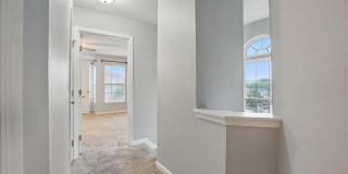 1332 CRANES BILL Way Gallery 17