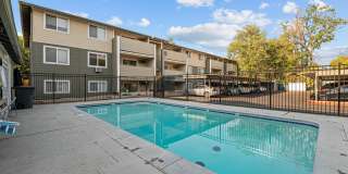 Phillippi Plaza Gallery 15