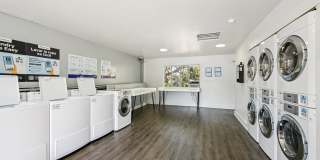 Sarasota South Gallery 25