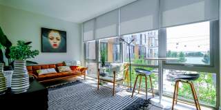 River Point Gallery 47