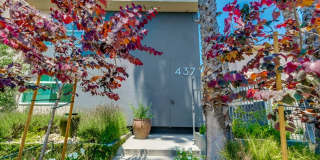 437-441 Queen St Gallery 4