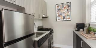 The Novelist Gallery 8