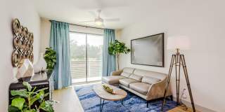 Lofts at South Lake Gallery 31