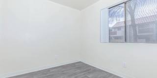 Metro Tucson Gallery 23