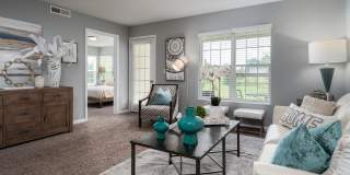 Carson Farms Gallery 7