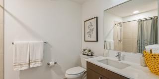 Arrive Michigan Avenue Gallery 24