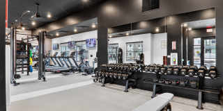 The Logan Gallery 10