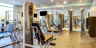 Elan East Gallery 23