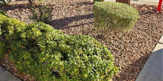 8536 Desert Holly Drive Gallery 5