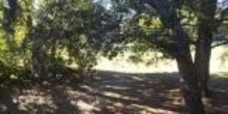 2945 Dove Haven Court unit: 707 Gallery 16