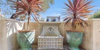 319 Orchid Gallery 3