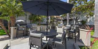 Terra Camarillo Gallery 21