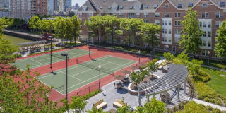 Avalon Cove Gallery 45