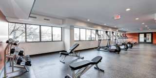 The Mark Alexandria Gallery 28