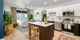 Vine at Panorama Gallery 6