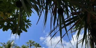 5880 Midnight Pass Road Gallery 75