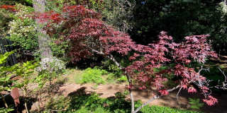 10959 Alta Sierra Drive 10959 Alta Sierra Drive Gallery 36