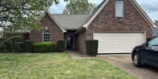 3806 Beatrice Cove Gallery 1