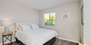 6677 Paseo Del Norte Gallery 14